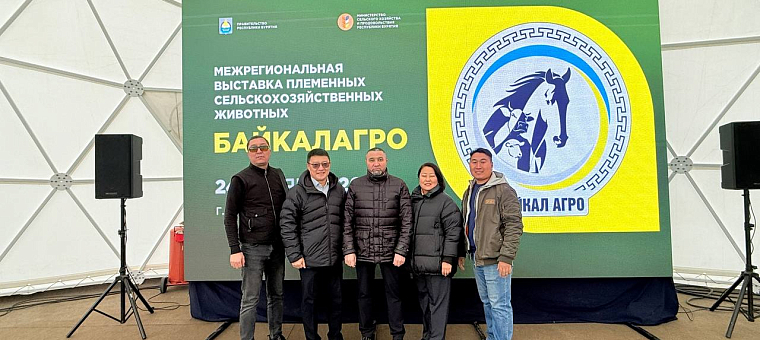 Бурятия возвращается на международный рынок крупного рогатого скота!